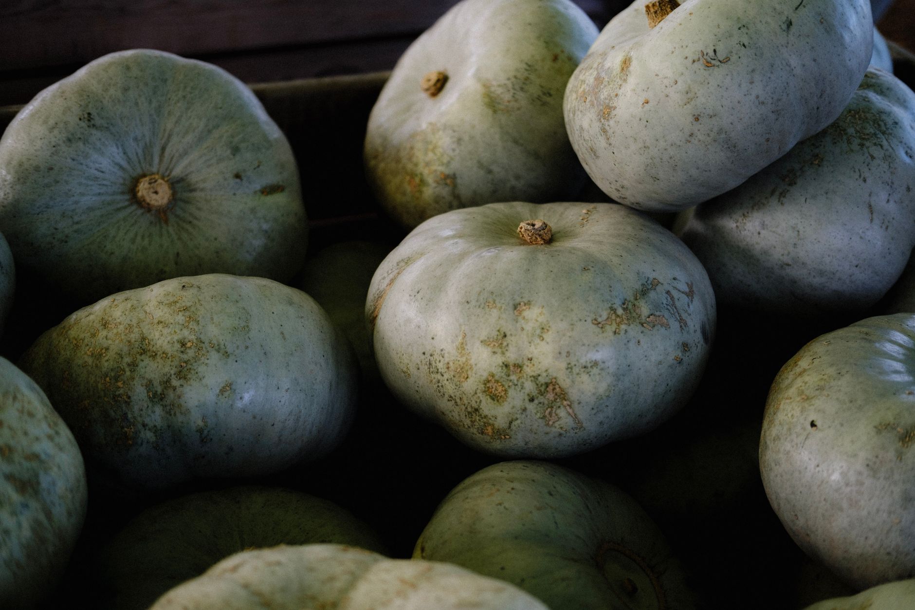 Assortiment de courges d'automne (butternut, potimarron, musquée) sur une table en bois